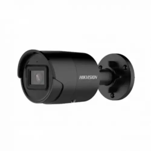 DS-2CD2043G2-IU(2.8mm)(BLACK)