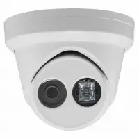 HIKVISION DS-2CD2355FWD-I (4 mm)
