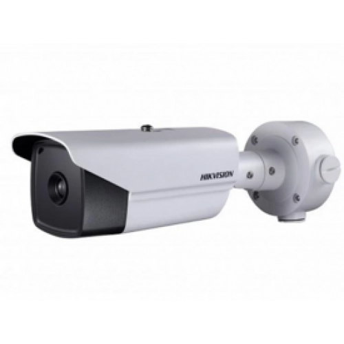 HIKVISION DS-2TD2136-25/V1