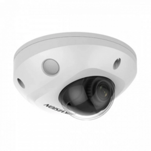 DS-2CD2543G2-IS(4mm)